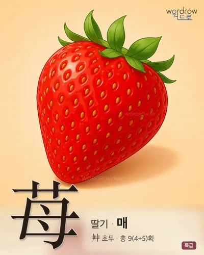 苺 (딸기 매) - 특급 한자 일러스트 카드