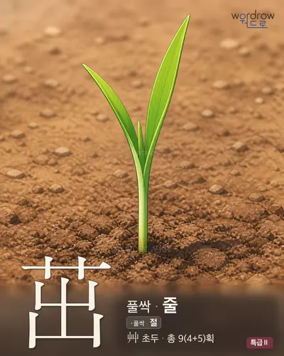 茁 (풀싹 줄) - 특급Ⅱ 한자 일러스트 카드