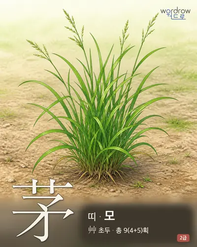 茅 (띠[草名] 모) - 2급 썸네일