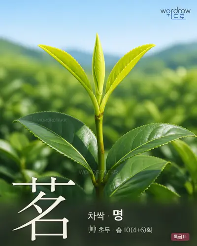 茗 (차싹 명) - 특급Ⅱ 한자 일러스트 카드