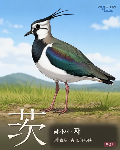 茨 (남가새 자) - 특급Ⅱ 한자 일러스트 카드