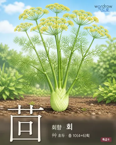 茴 (회향 회) - 특급Ⅱ 썸네일