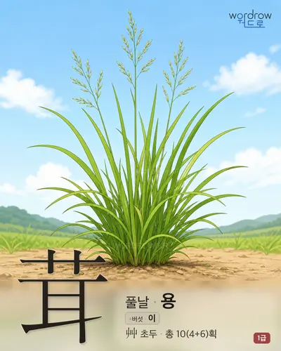 茸 (풀날 용) - 1급 한자 일러스트 카드