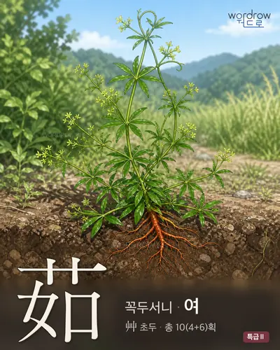 茹 연상 그림