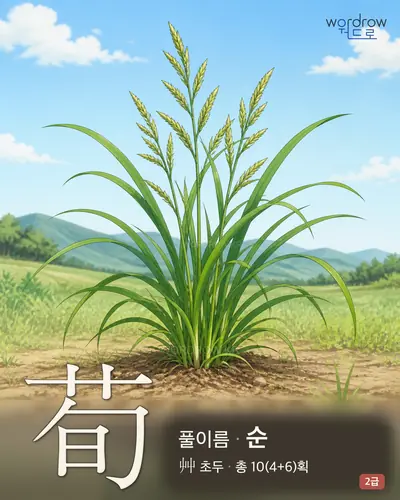 荀 (풀이름 순) - 2급 썸네일