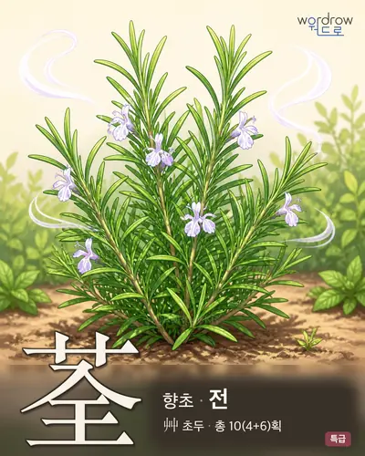 荃 (향초 전) - 특급 한자 일러스트 카드