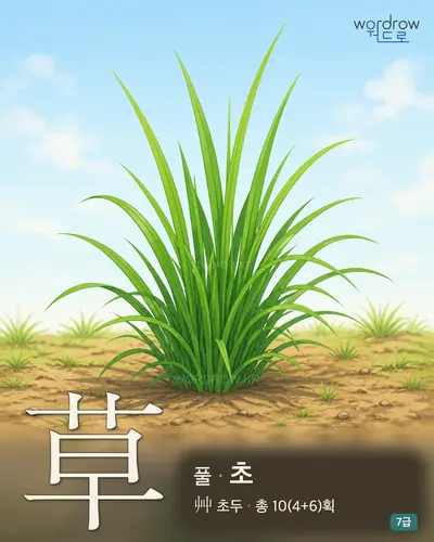 草 풀