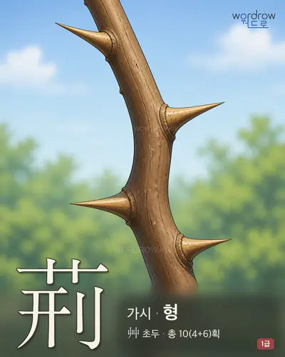 荊 (가시 형) - 1급 한자 일러스트 카드