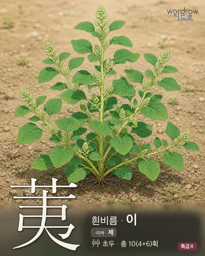 荑 연상 그림