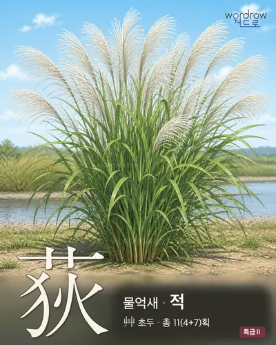 荻 (물억새 적) - 특급Ⅱ 한자 일러스트 카드