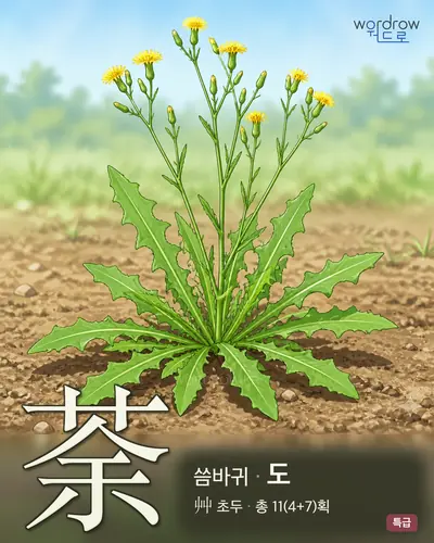 荼 (씀바귀 도) - 특급 한자 일러스트 카드
