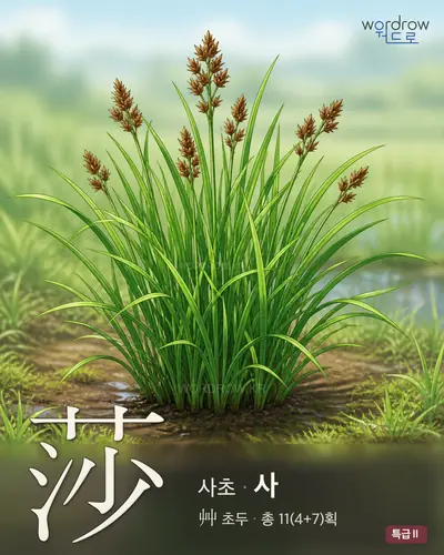 莎 (사초 사) - 특급Ⅱ 썸네일