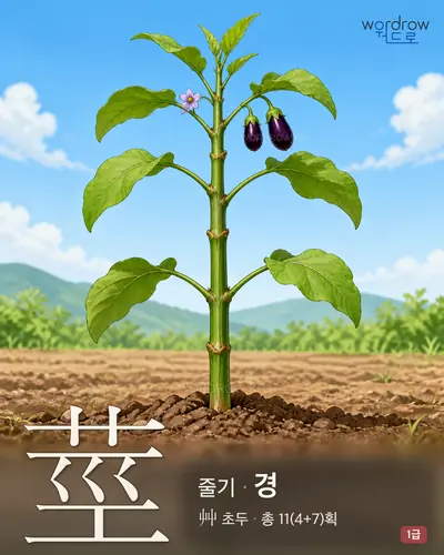 莖 (줄기 경) - 1급 썸네일