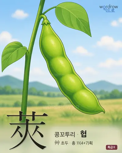 莢 (콩꼬투리 협) - 특급Ⅱ 한자 일러스트 카드