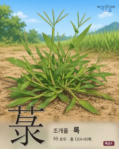 菉 (조개풀 록) - 특급Ⅱ 한자 일러스트 카드