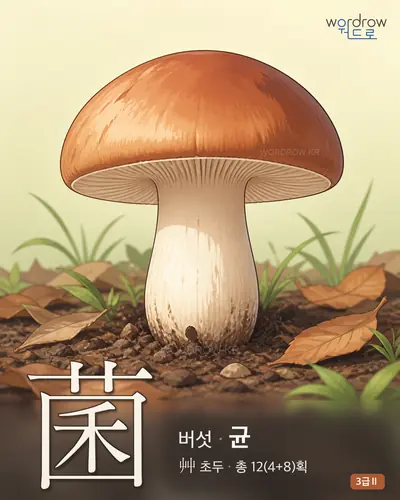菌 (버섯 균) - 3급Ⅱ 썸네일