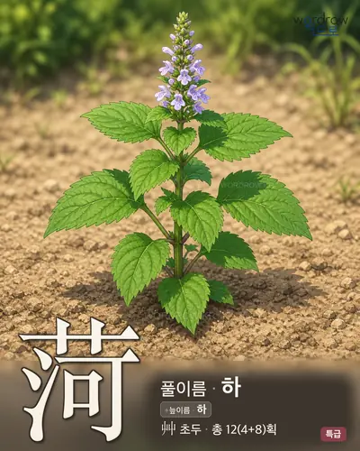 菏 (풀이름 하) - 특급 썸네일