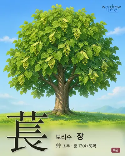 萇 (보리수 장) - 특급 한자 일러스트 카드