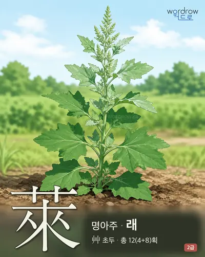 萊 (명아주 래) - 2급 썸네일