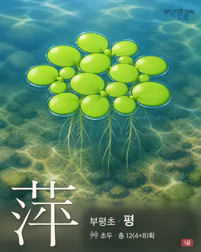 萍 연상 그림