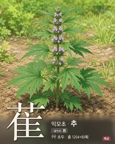 萑 (익모초 추) - 특급 한자 일러스트 카드