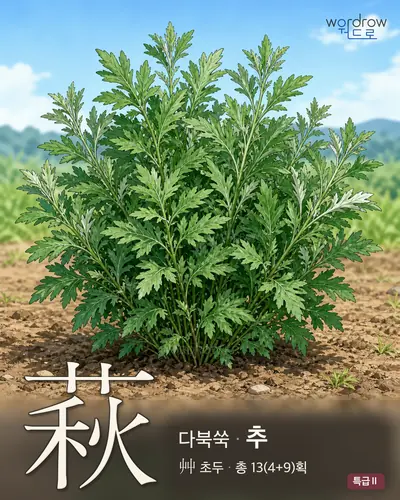 萩 (다북쑥 추) - 특급Ⅱ 한자 일러스트 카드