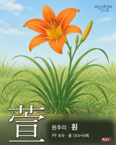 萱 (원추리 훤) - 특급Ⅱ 한자 일러스트 카드