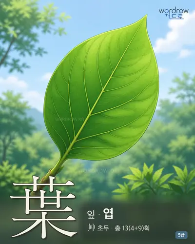 葉 잎