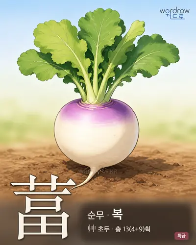 葍 연상 그림