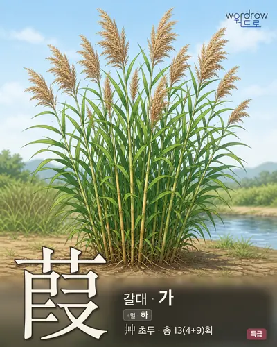 葭