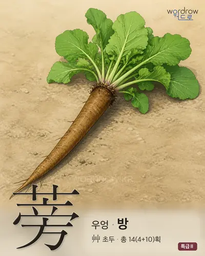 蒡 연상 그림