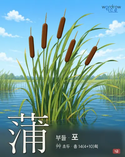 蒲 (부들 포) - 1급 썸네일