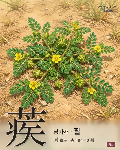 蒺 (남가새 질) - 특급 한자 일러스트 카드
