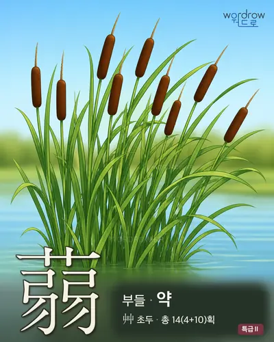 蒻 연상 그림