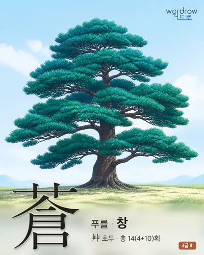 蒼 (푸를 창) - 3급Ⅱ 한자 일러스트 카드