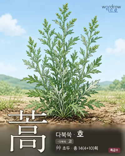 蒿 (다북쑥 호) - 특급Ⅱ 썸네일