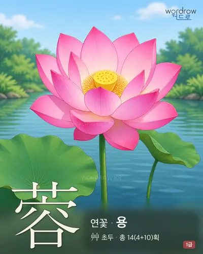 蓉 (연꽃 용) - 1급 썸네일