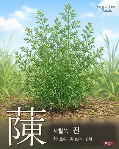 蔯 (사철쑥 진) - 특급Ⅱ 한자 일러스트 카드