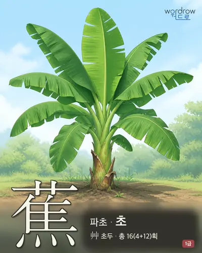 蕉 (파초 초) - 1급 썸네일