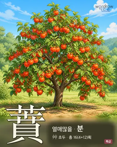 蕡 (열매많을 분) - 특급 한자 일러스트 카드