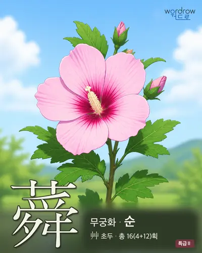 蕣 (무궁화 순) - 특급Ⅱ 한자 일러스트 카드