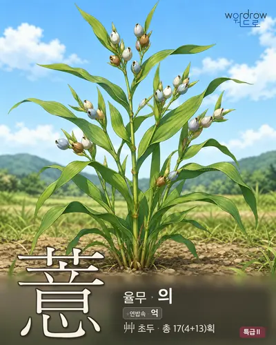 薏 (율무 의) - 특급Ⅱ 한자 일러스트 카드