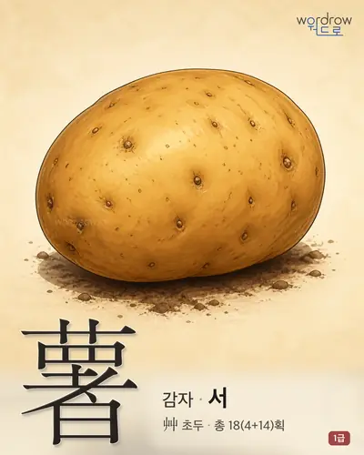 薯 (감자 서) - 1급 한자 일러스트 카드