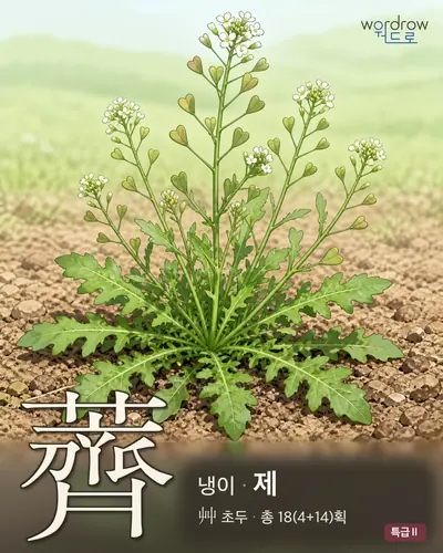 薺 (냉이 제) - 특급Ⅱ 한자 일러스트 카드