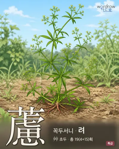 藘 (꼭두서니 려) - 특급 한자 일러스트 카드