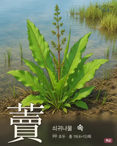 藚 (쇠귀나물 속) - 특급 한자 일러스트 카드