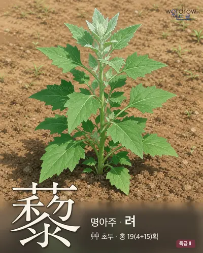 藜 연상 그림