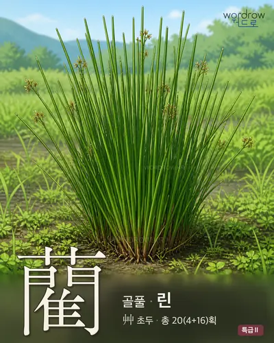 藺 (골풀 린) - 특급Ⅱ 한자 일러스트 카드