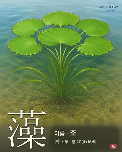 藻 (마름 조) - 1급 한자 일러스트 카드