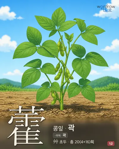 藿 (콩잎 곽) - 1급 썸네일